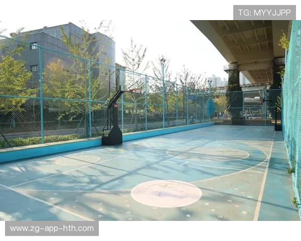 城市体育设施共享平台推动资源优化配置，城市体育公共服务均等化问题