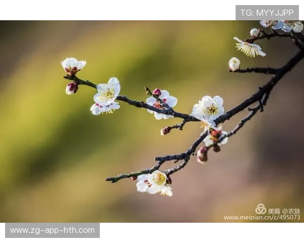 梅总又玩滑步秀